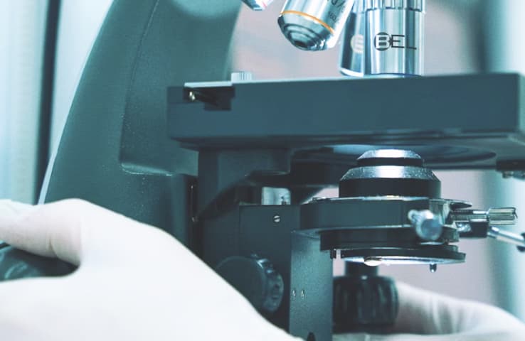 腸内細菌研究支援のイメージ