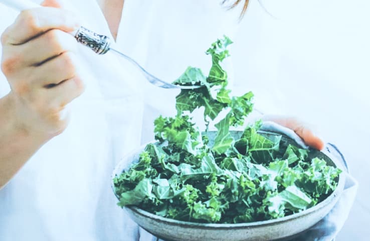 健康食品・サプリメント開発のイメージ